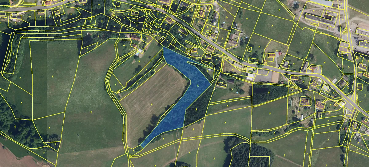 Prodej lesa 9121 m²